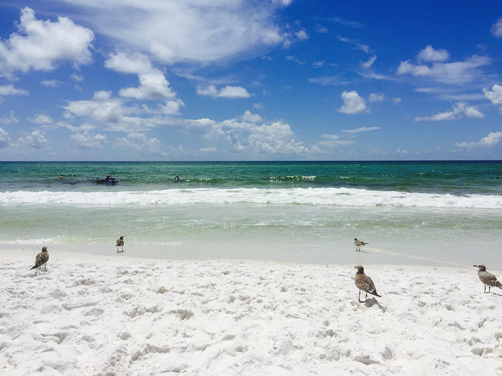 Beach in Destin Florida. Cl