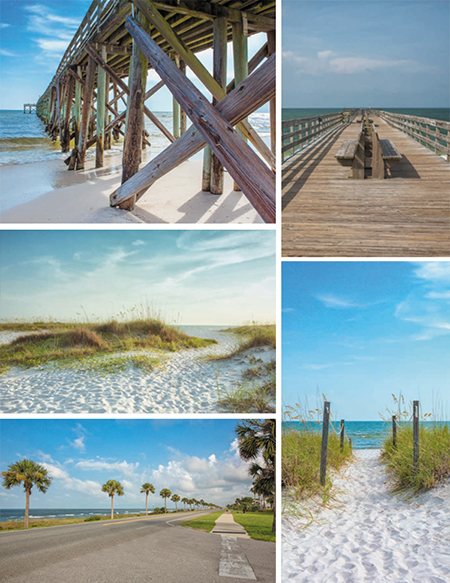 Scenery Inspiration Board Mexico Beach Florida Photo Shoot