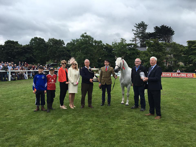 Connemara Pony Show 2015